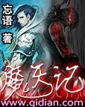 魔天记叶天眉