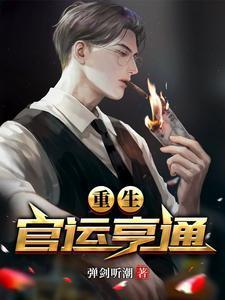 重生官运亨通 笔趣阁